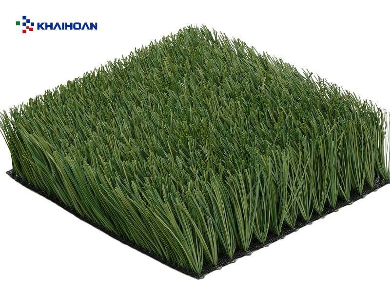 CCGrass Superb — ảnh 2