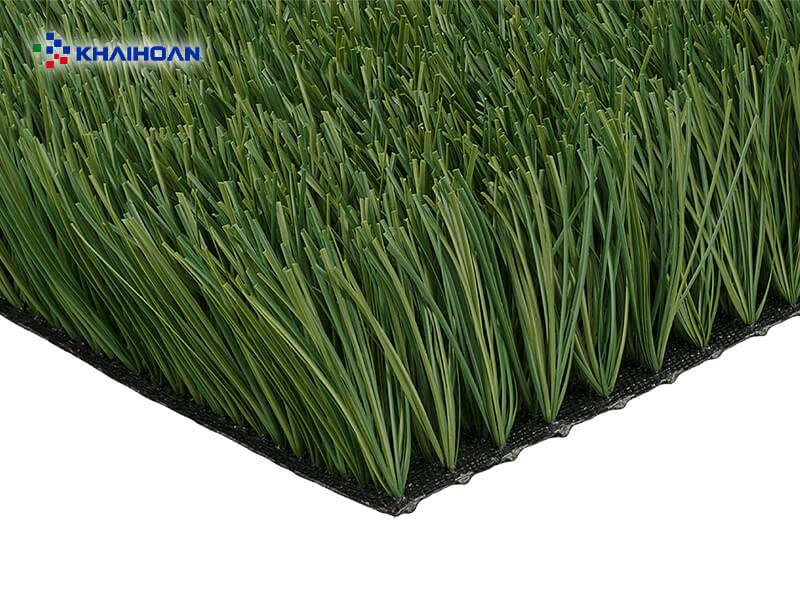 CCGrass Superb — ảnh 3