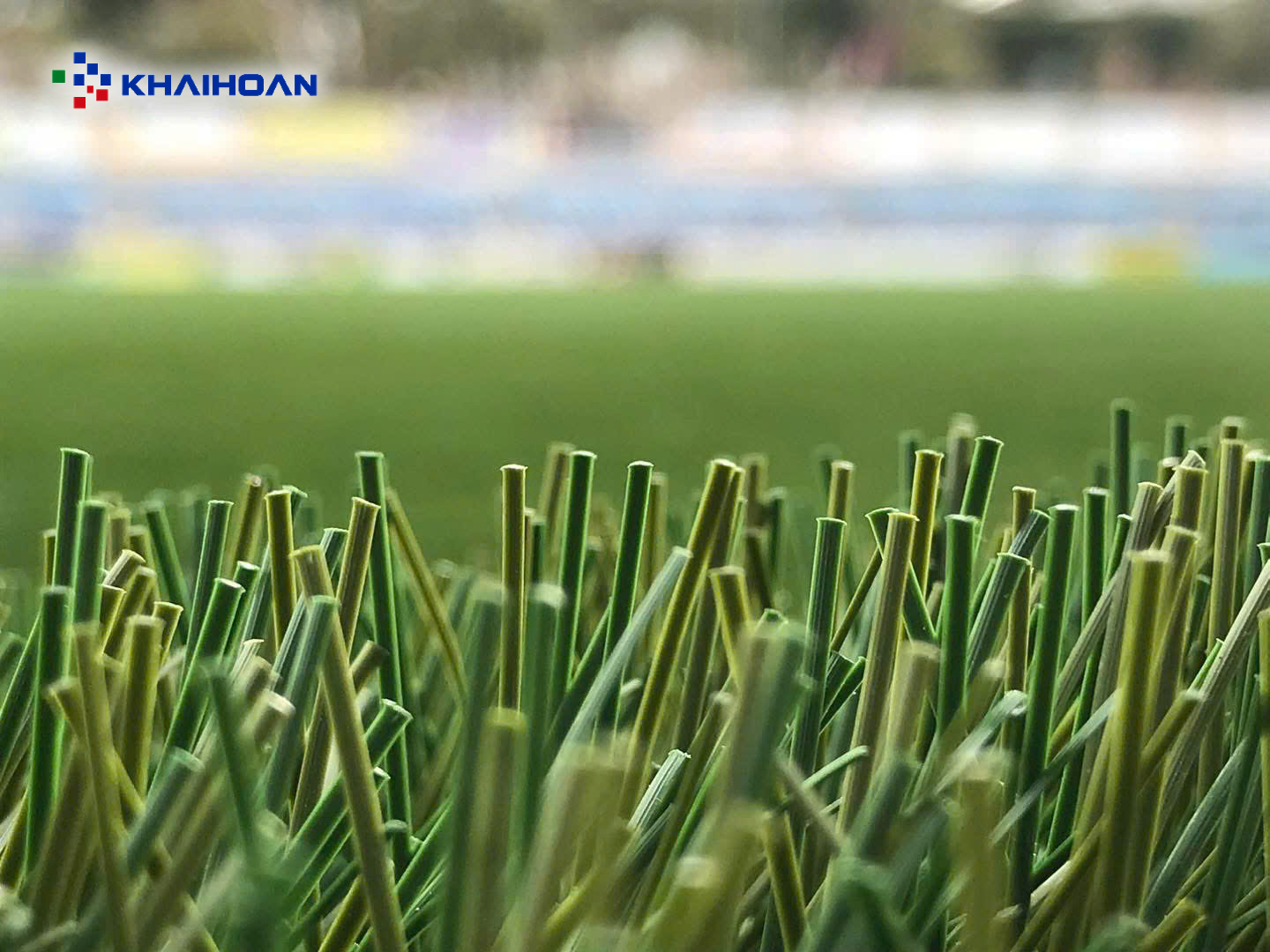 Sợi cỏ thi đấu CCGrass